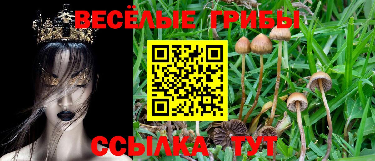 Верхняя Салда  Псилоцибиновые грибы мицелий  Вход с VPN 